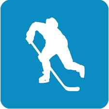 Hockey Shoots online game